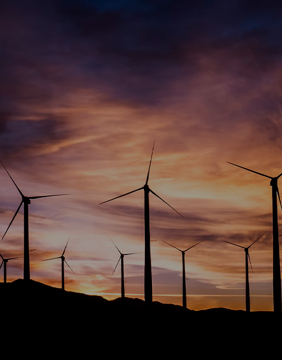 Alinta Energy customer experience project