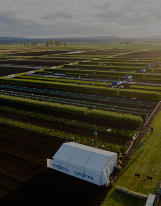 Agriculture organisational design project