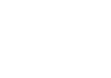 Secure Parking logo