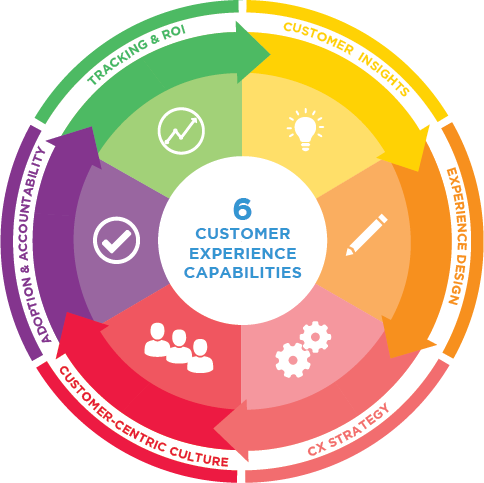 Graphic wheel of the 6 critical capabilities for a customer centric organisation.