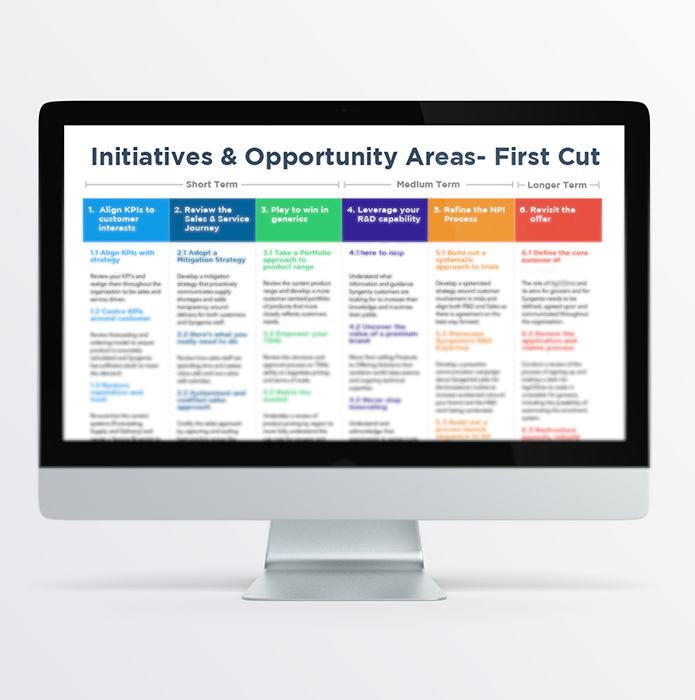 Initiatives and Opportunity areas on computer screen